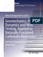 Nelson Enrique Barros Galvis - Geomechanics, Fluid Dynamics and Well Testing, Applied To Naturally Fractured Carbonate Reservoirs