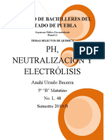 PH, NeeutralizaciOn, Electrolisis,, IMPRIIIIMIIIIR