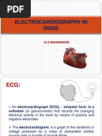 Ecg in Dogs
