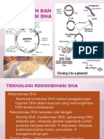 Kloning Gen Dan Rekombinasi