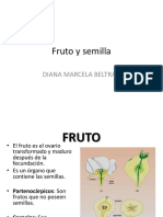 Frutos y semillas: estructura, tipos y clasificación
