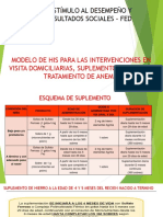 Modelo de His Convenio Fed 2019 Julio