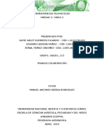 Tarea 2_Grupo 100201_113..docx