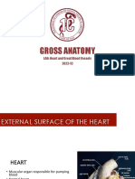 (ANAT) - S02-T02-Heart, Great Blood Vessels (Lab)