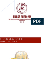 (ANAT) - S02-T03 - Blood Vessels of The Head and Neck Circulatory System Generalities (Lab)