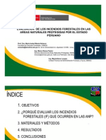 Evaluación de los incendios forestales en las areas  protegidas en el Perú