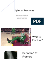Principles of Fractures