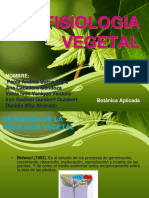 Diapositiva - Grupo - Fisiologia Vegetal