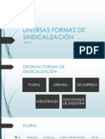 DIVERSAS FORMAS DE SINDICALIZACIÓN-1.pptx