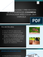 Zika101Slides Spanish