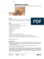 palas.pdf