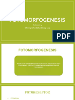Fotomorfogenesis Kelompok 4