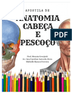 PDF APOSTILA ANATO.pdf