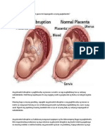 Placenta-WPS Office.doc