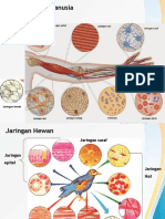 Jenis dan Fungsi Jaringan Epitel