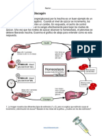 Sistema Endocrino (Enviar)