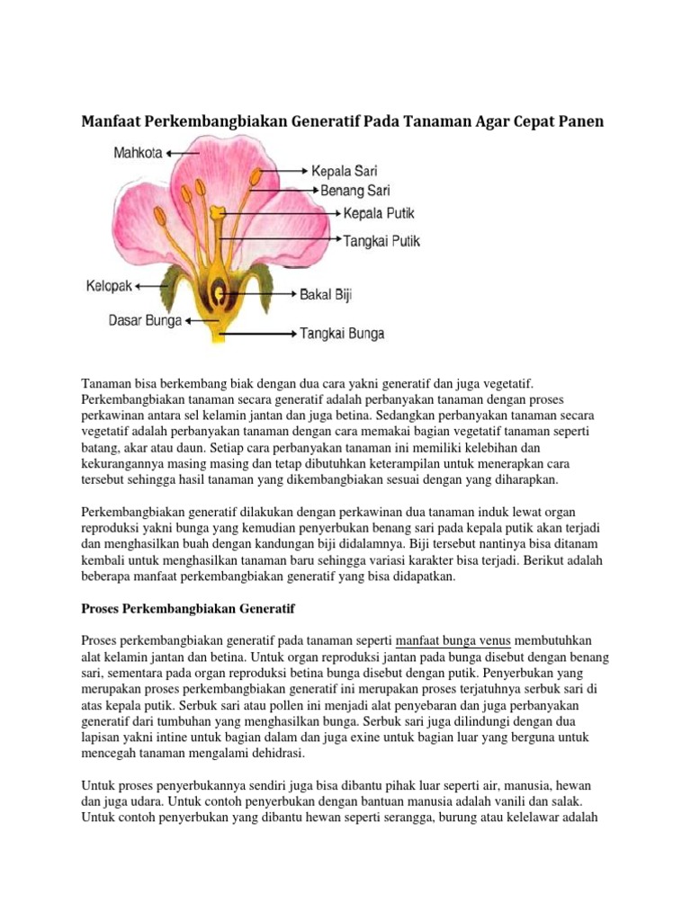 Manfaat Perkembangbiakan Generatif Pada Tanaman Agar Cepat Panen Docx