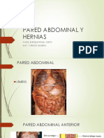 Pared Abdominal y Hernias