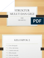 Kel 2 Struktur Mulut Dan Gigi Kel 2