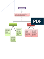 Mapa Funciones Ejecutivas - Erminso Chirimia