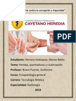 Cicatrizacion (Resumen Medico)