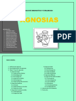 Portafolio Neuropsicología de Las Gnosias