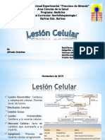 Lesion Celular