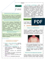 Queimaduras PDF