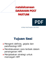 Materi HPP Dr.mh