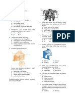 Soal Kelas 8 Rangka Dan Otot