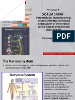 Sistem Saraf - Isti Anindya