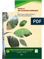 Tree Cult.pdf