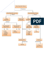 Sistem Reproduksi Manusia