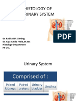 Histologi Sistem Urinarius