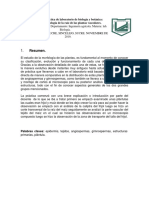 Informe de La Práctica de Laboratorio de Biología y Botánica, RAIZ