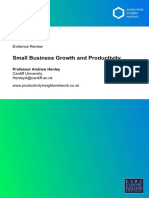 Evidence Review Small Business Growth and Productivity