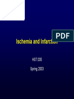 isch_infarct2003.pdf