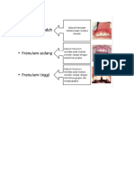 Frenulum