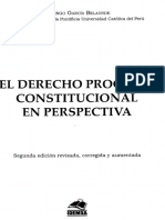 01 El Derecho Procesal Constitucional en Perspectiva (Garcia Belaunde)