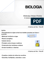 bioologia lipideos 