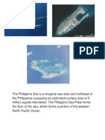 The Philippine Sea Is A Marginal Sea East and Northeast of The Philippines Occupying An Estimated Surface Area of 5 Million Square Kilometres