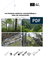 BOSQUES MADUROSsíntesis V3.7.pdf
