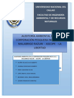 351960200-Auditoria-Ambiental-en-Una-Industria-Cope-Inca-Final-1.pdf