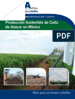 011 - Producción_Sostenible_de_Caña_de_Azucar_en_México.pdf