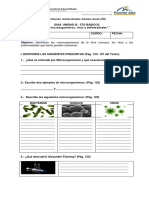 Guía  Microorganismos y Enfermedades 5basico (1).docx