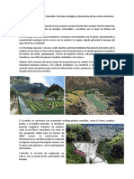 Proyectos_propuesta.docx
