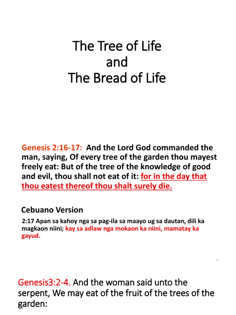 Jesus The Bread of Life | PDF | Eternal Life (Christianity) | Mythology