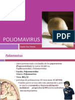 Polioma Virus