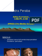 Indra Peraba Kulit