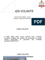 CINZA VOLANTE 2.pptx